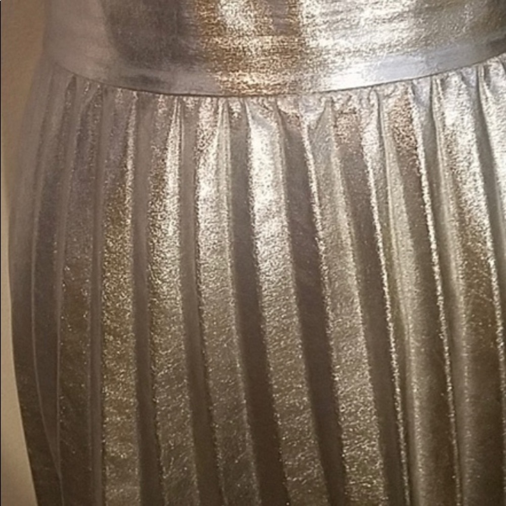 ZARA Silver Pleated Skirt